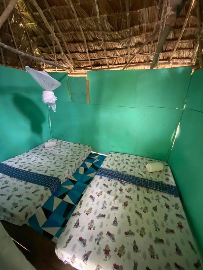 Mida Creek Nature Camp واتامو المظهر الخارجي الصورة