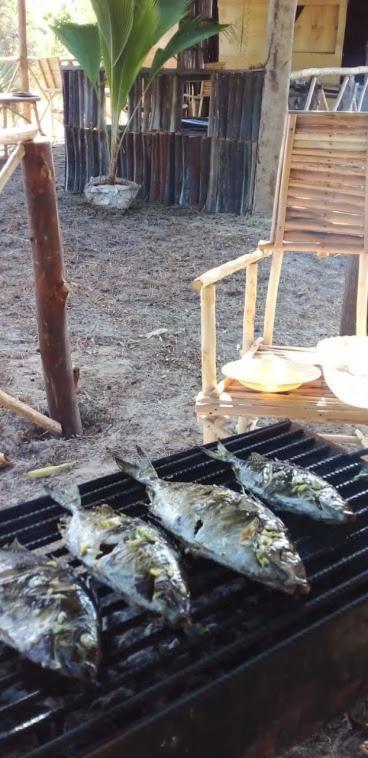Mida Creek Nature Camp واتامو المظهر الخارجي الصورة