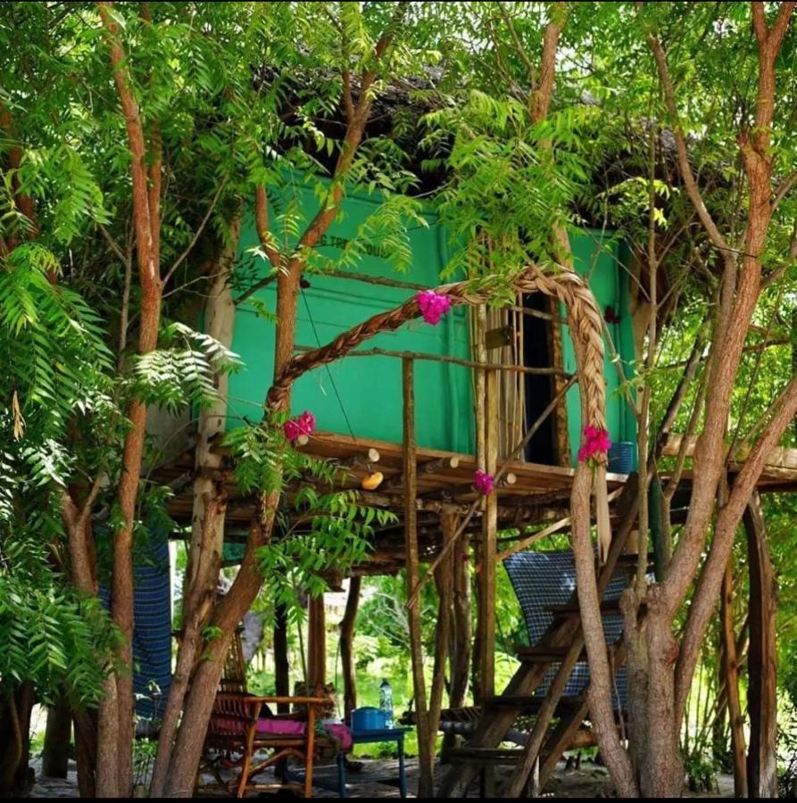 Mida Creek Nature Camp واتامو المظهر الخارجي الصورة