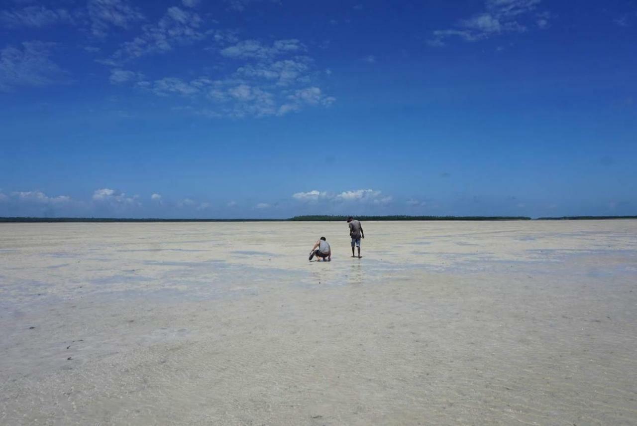 Mida Creek Nature Camp واتامو المظهر الخارجي الصورة