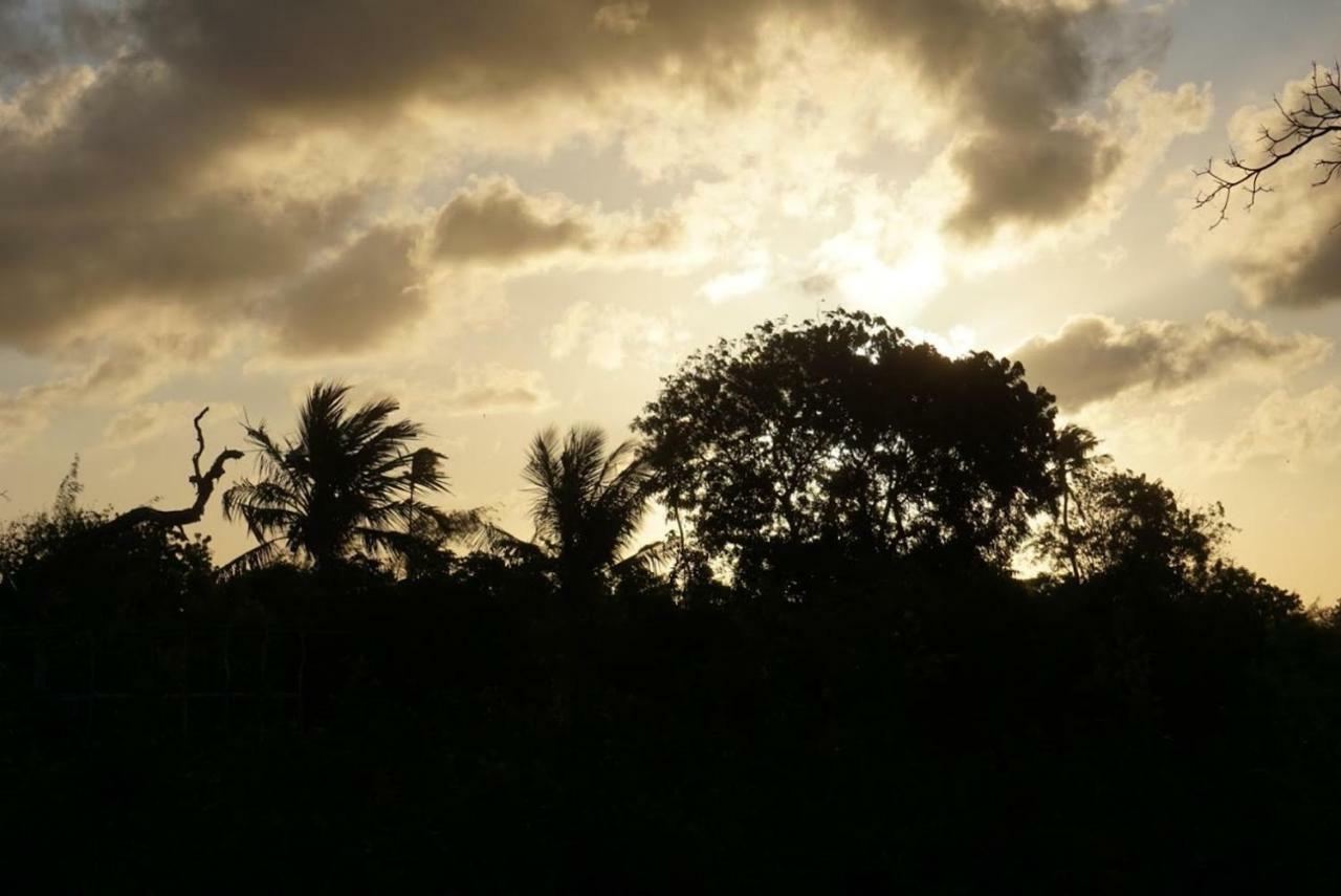 Mida Creek Nature Camp واتامو المظهر الخارجي الصورة