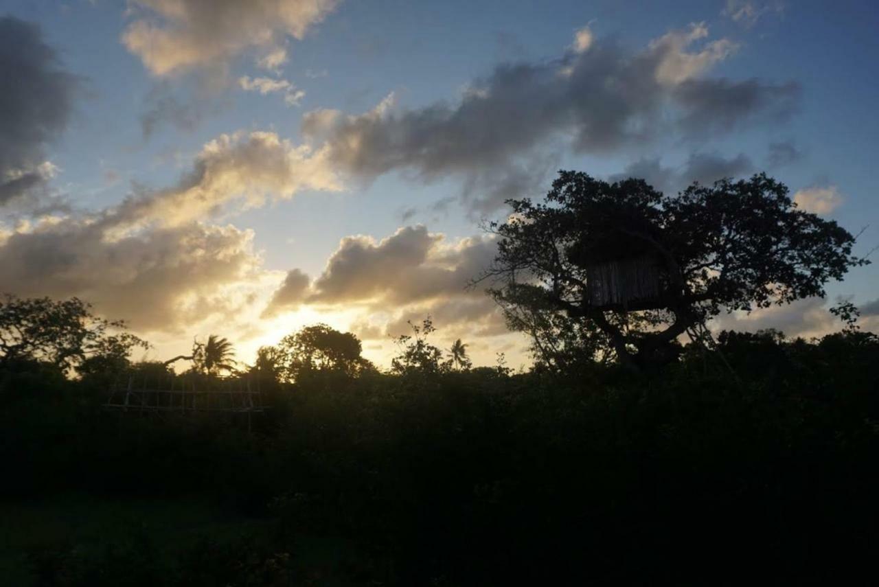 Mida Creek Nature Camp واتامو المظهر الخارجي الصورة