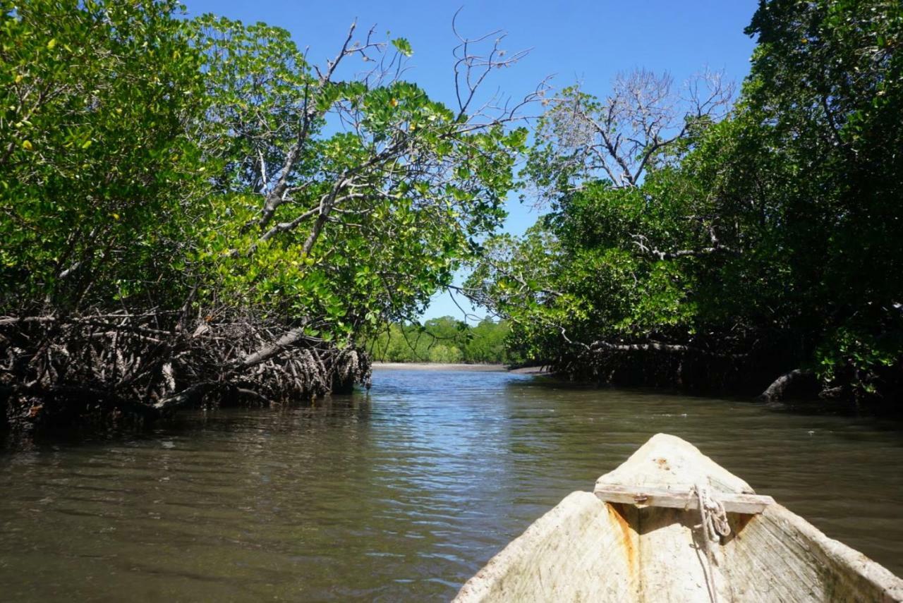 Mida Creek Nature Camp واتامو المظهر الخارجي الصورة