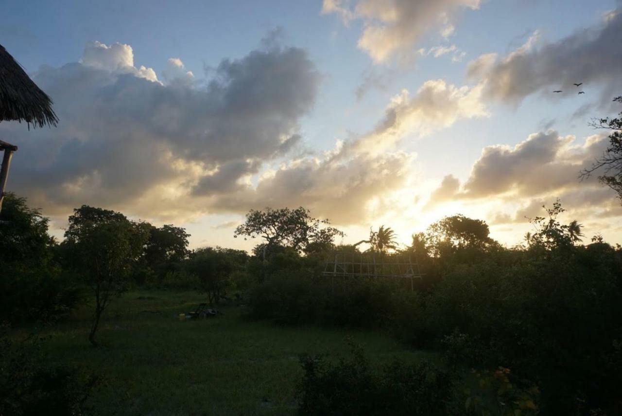 Mida Creek Nature Camp واتامو المظهر الخارجي الصورة