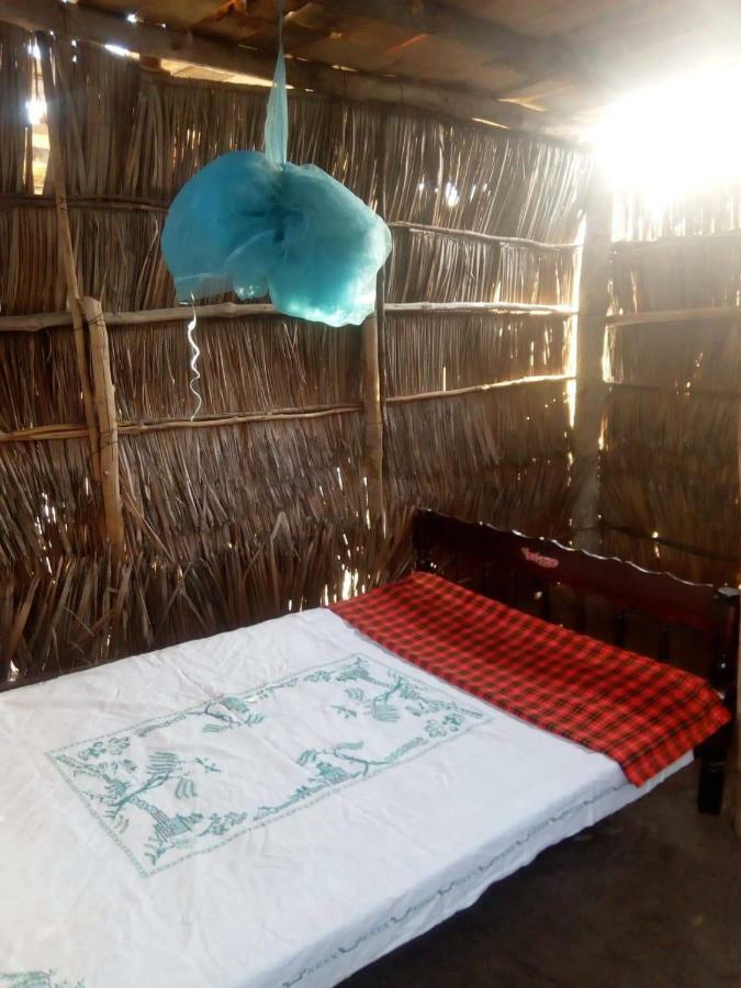 Mida Creek Nature Camp واتامو المظهر الخارجي الصورة
