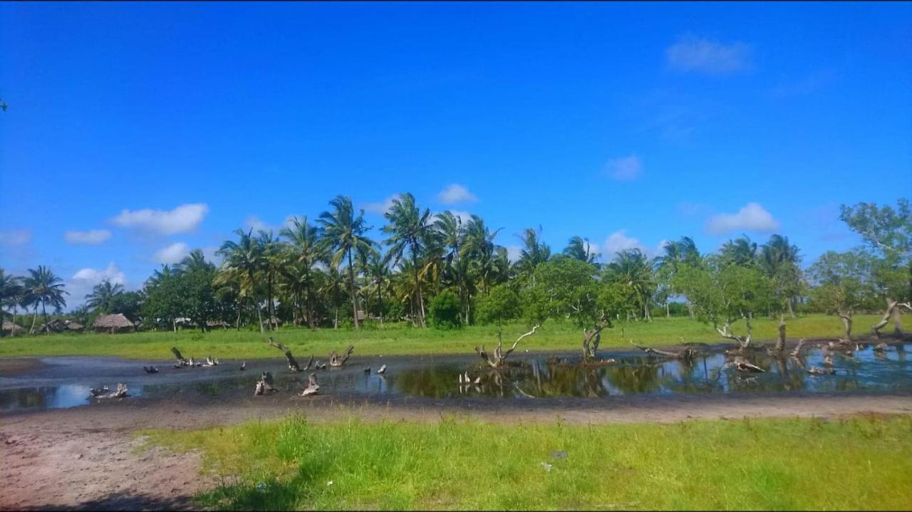 Mida Creek Nature Camp واتامو المظهر الخارجي الصورة