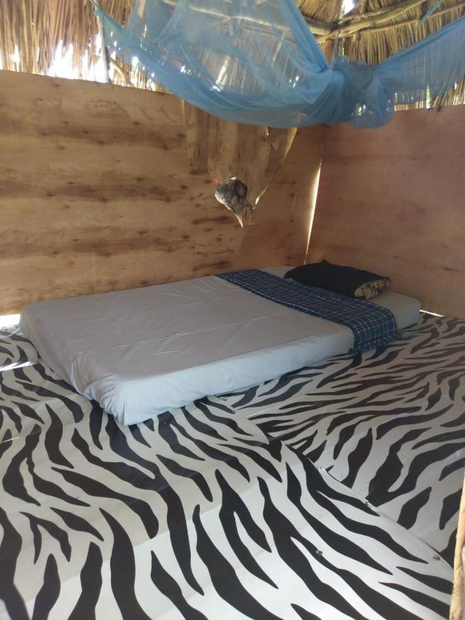 Mida Creek Nature Camp واتامو المظهر الخارجي الصورة